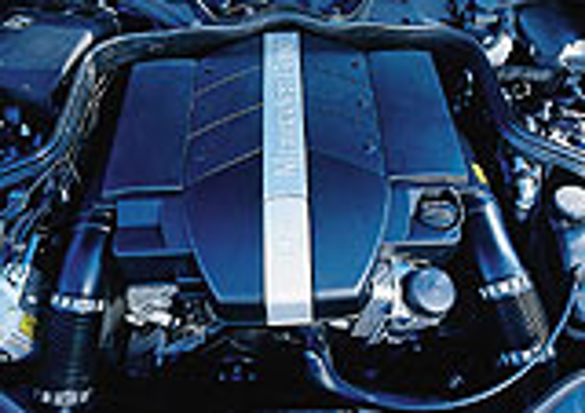 Awangarda i konserwatyzm