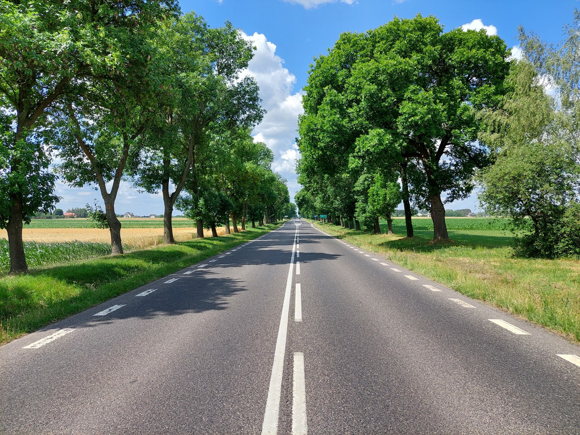 DK62 i najdłuższy w Polsce odcinek prostej drogi