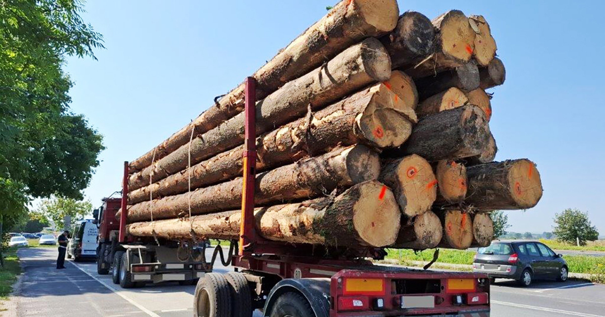 Poważne naruszenia w transporcie drewna