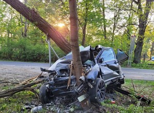 18-latek w BMW uderzył w drzewo. To cud, że przeżył [Zdjęcia]