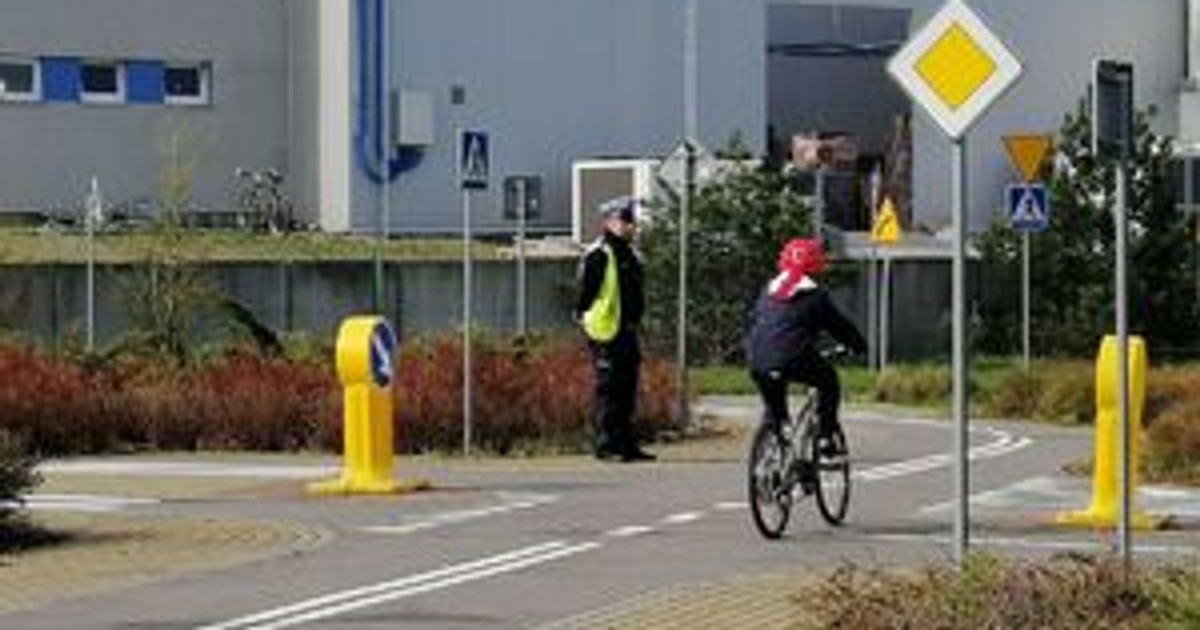 Obraz pochodzący z serwisu https://koszalin.policja.gov.pl/zk/aktual/aktualnosci/62491,Policjanci-z-koszalinskiej-drogowki-pomoga-w-przygotowaniu-do-egzaminu-na-karte-.html