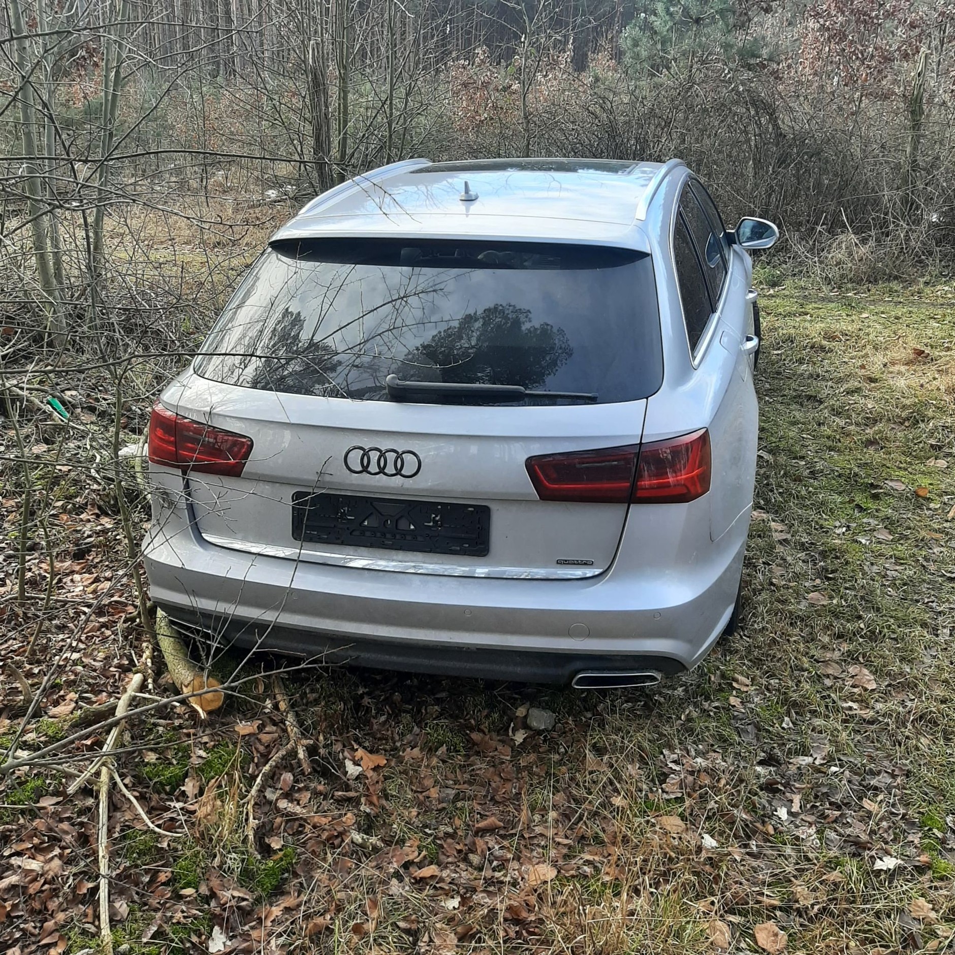 Luksusowe Audi z włączonym silnikiem porzucone w lesie