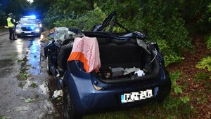 Drzewo spadło na auto z trójką dzieci. Uratowali je świadkowie