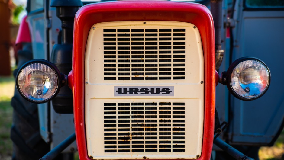 Ursus