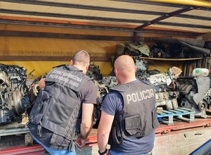 Kolejna "dziupla" odkryta przez policję. 34-latek w areszcie