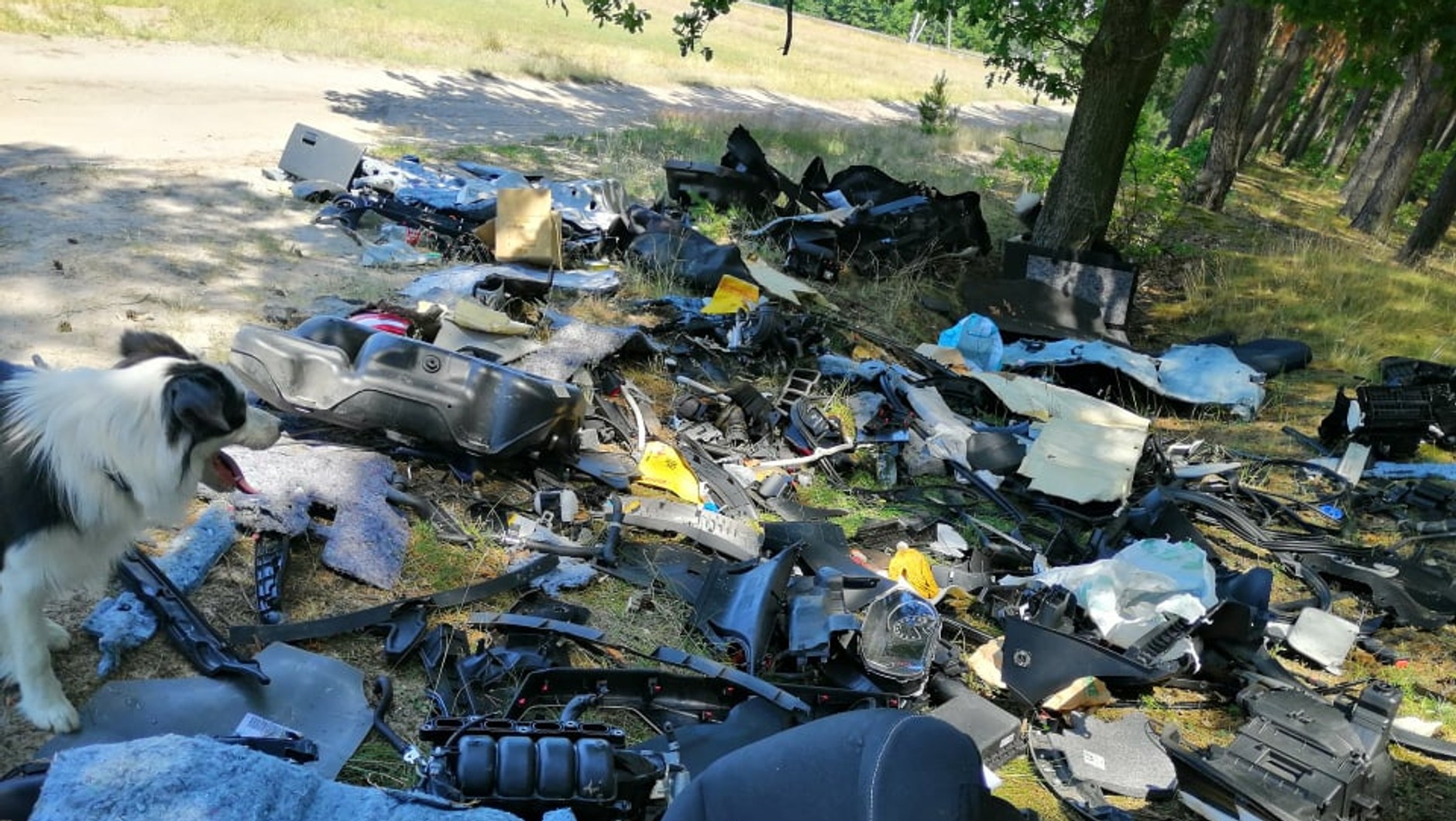 Pozostałości kradzionych aut w podwarszawskich lasach