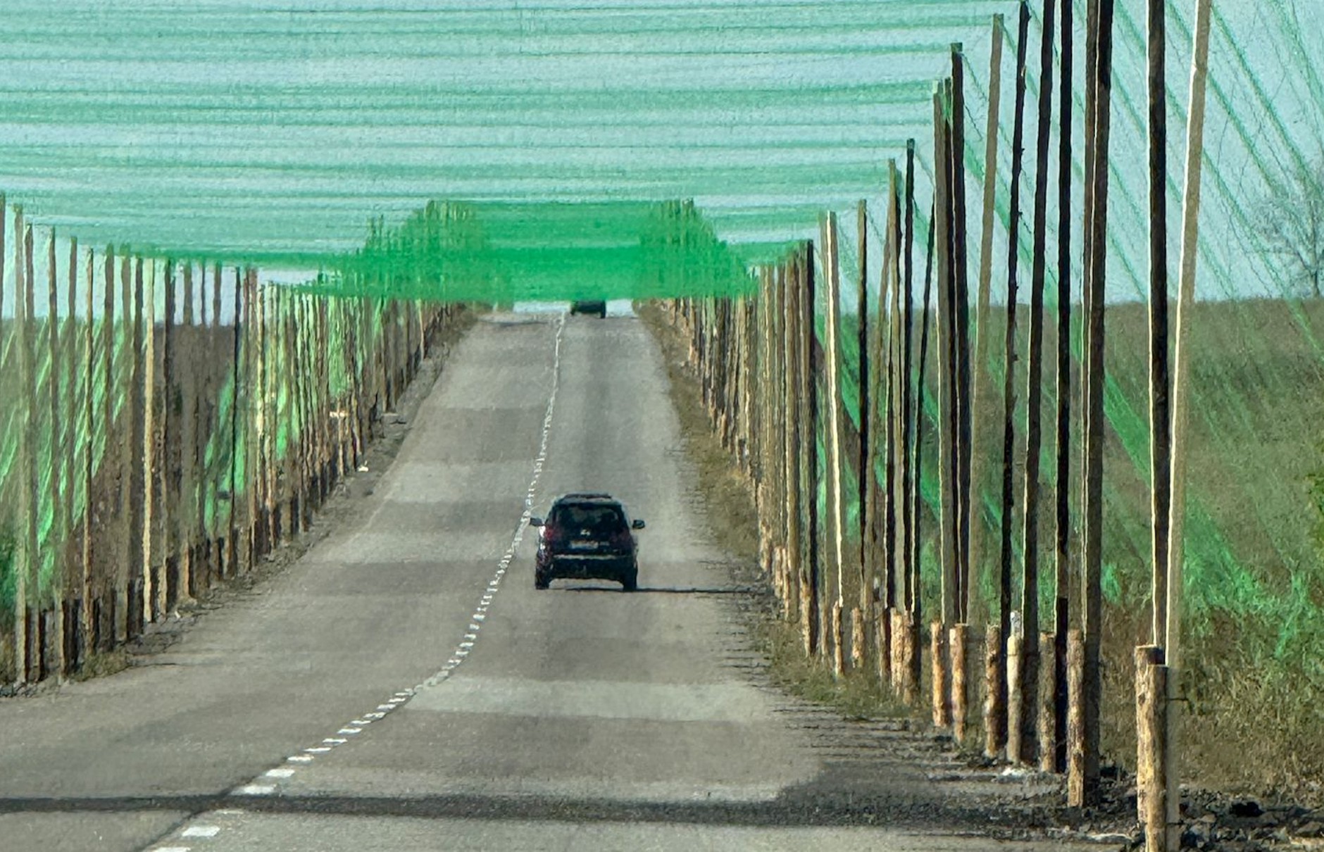 Sieci antydronowe nad drogami w Ukrainie