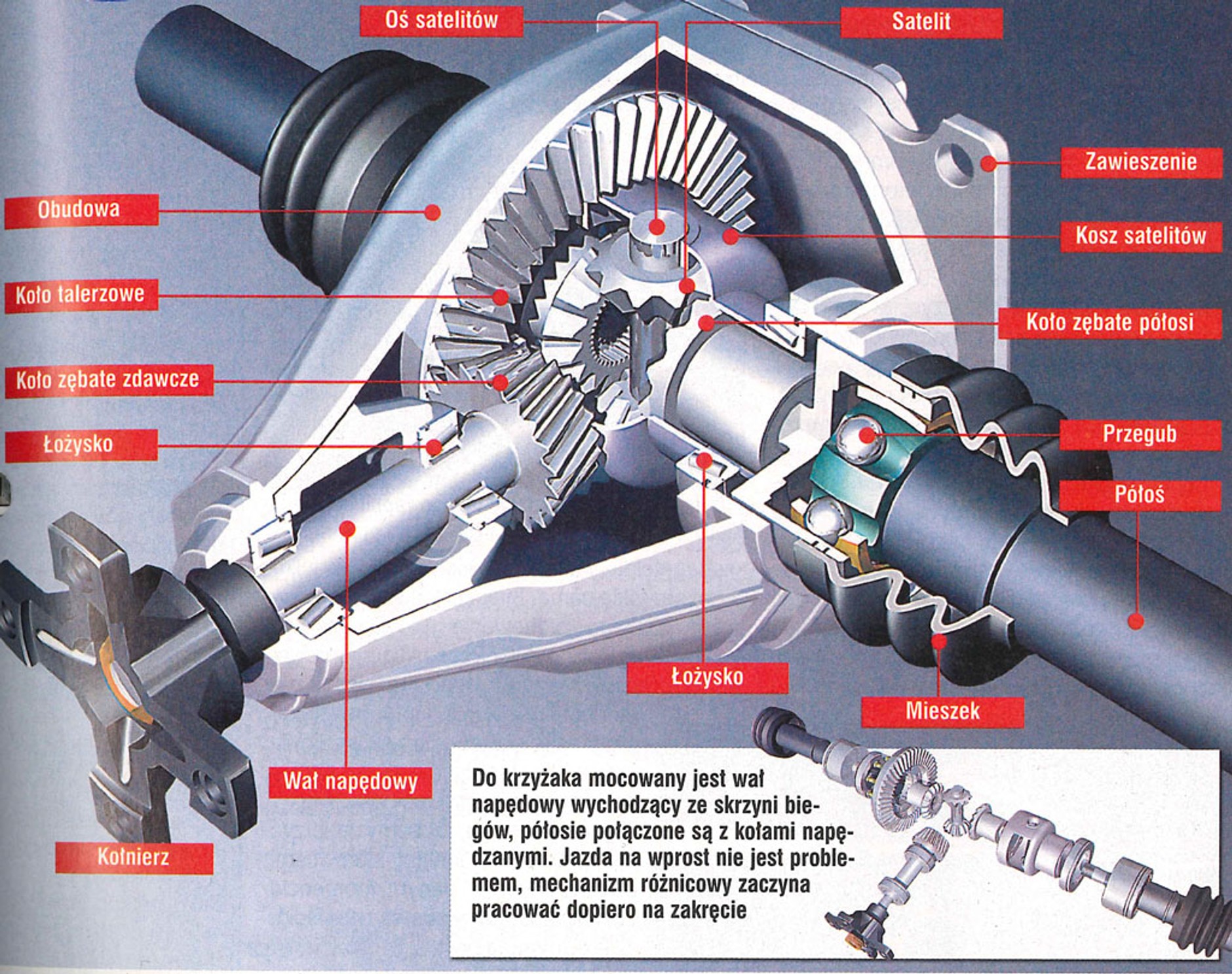 Jak działa mechanizm różnicowy?