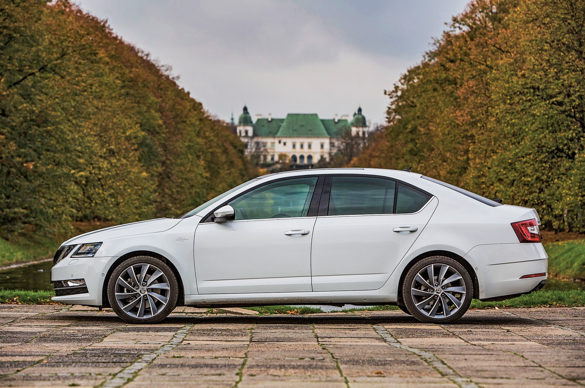 Popularne kompakty z benzyniakiem: Skoda Octavia