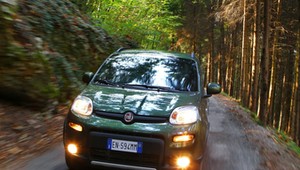Fiat Panda 4x4: dzielny maluch