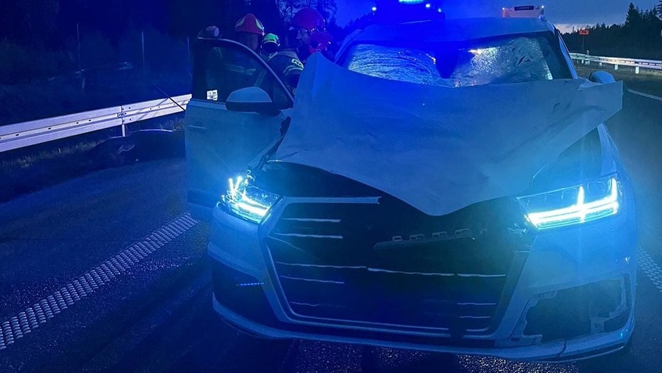 Źródło: elk.policja.gov.pl/policja.pl