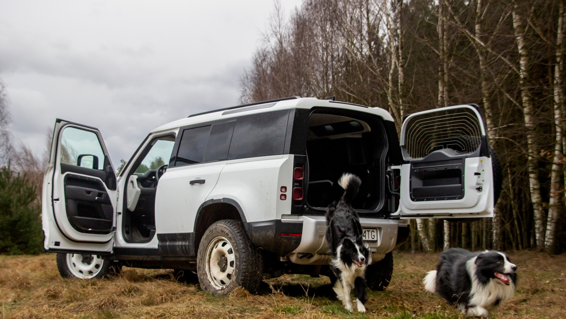 Do teraz jedynymi "dostawczakami" oferowanymi przez Tata Motors w europie były użytkowe wersje Land Roverów, takie jak ten Land Rover Defender Hard Top.