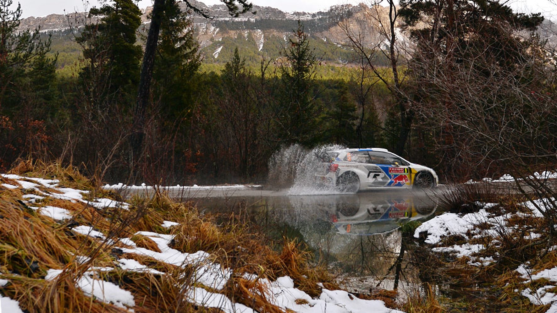 Rajd Monte Carlo 2014