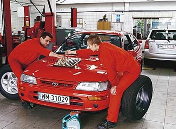 Corolka dla wybrednych