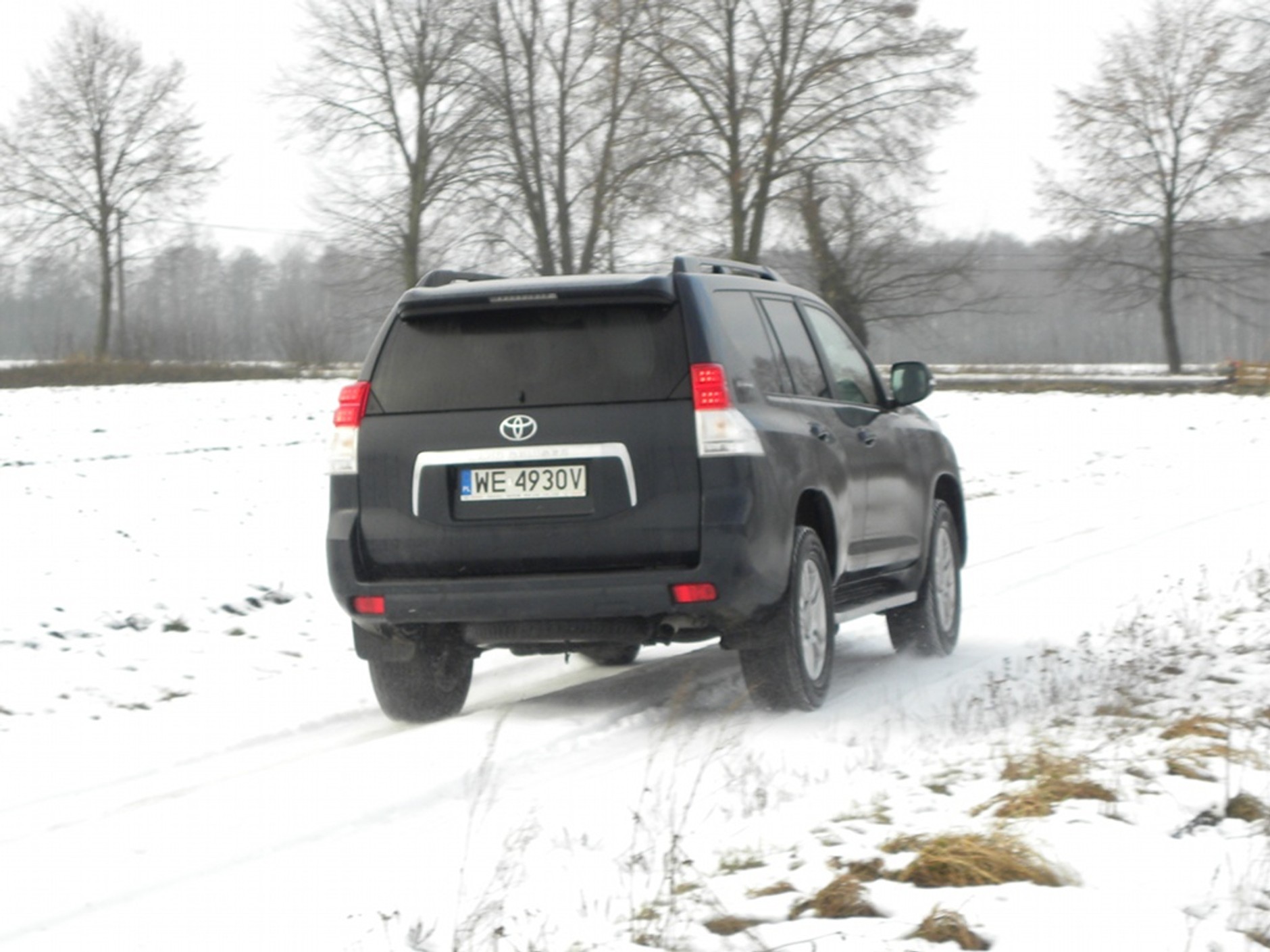 Toyota Land Cruiser: Wysoko zawieszony luksus