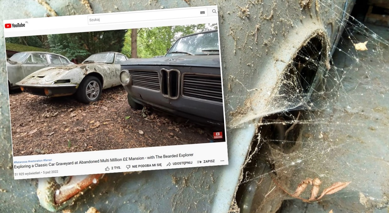 "Nie sprzedam, będę robił". Ponad 100 klasyków wrasta na opuszczonej działce [WIDEO]