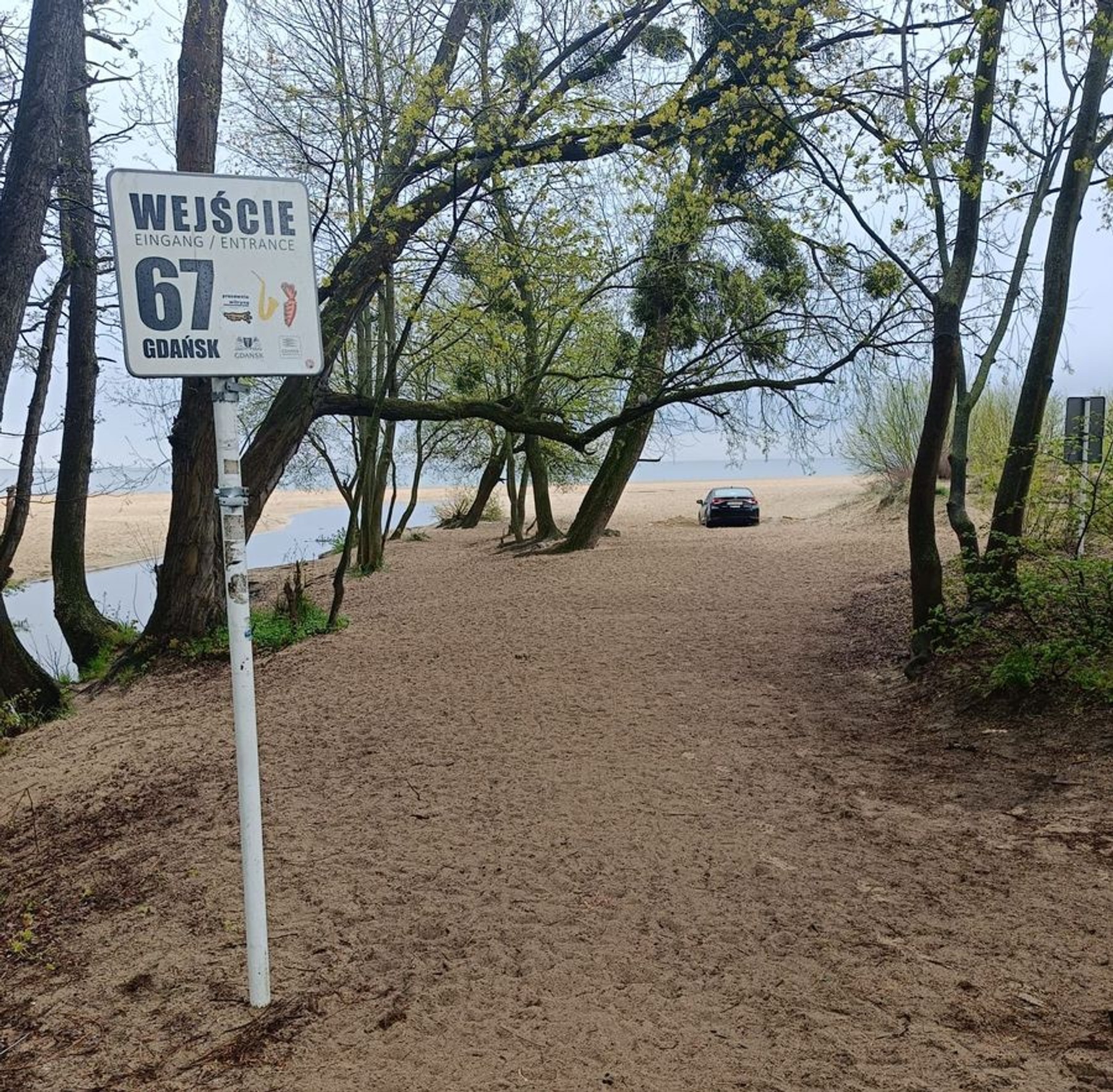 Wjechał samochodem na plażę