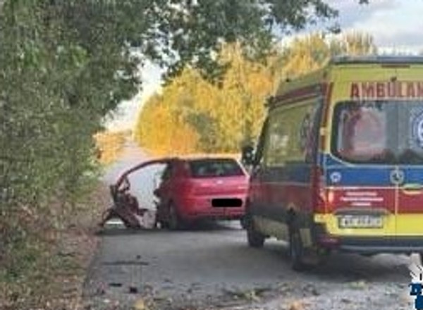 Stracił panowanie nad pojazdem i uderzył w drzewo. Tragiczny wypadek w gminie Wolanów