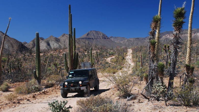 Jeepem Wranglerem przez północny Meksyk