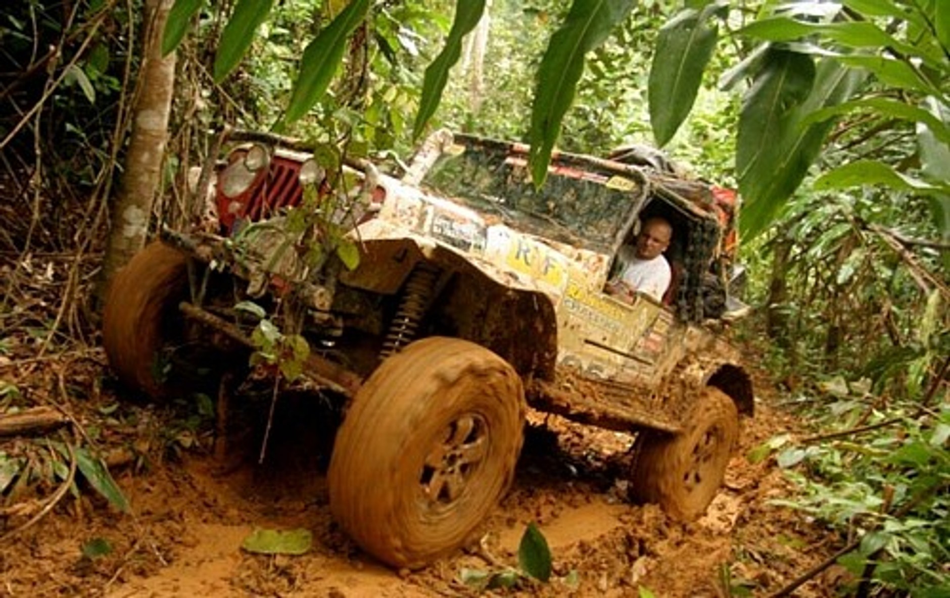 Rainforest Challenge - Tropikalna gorączka