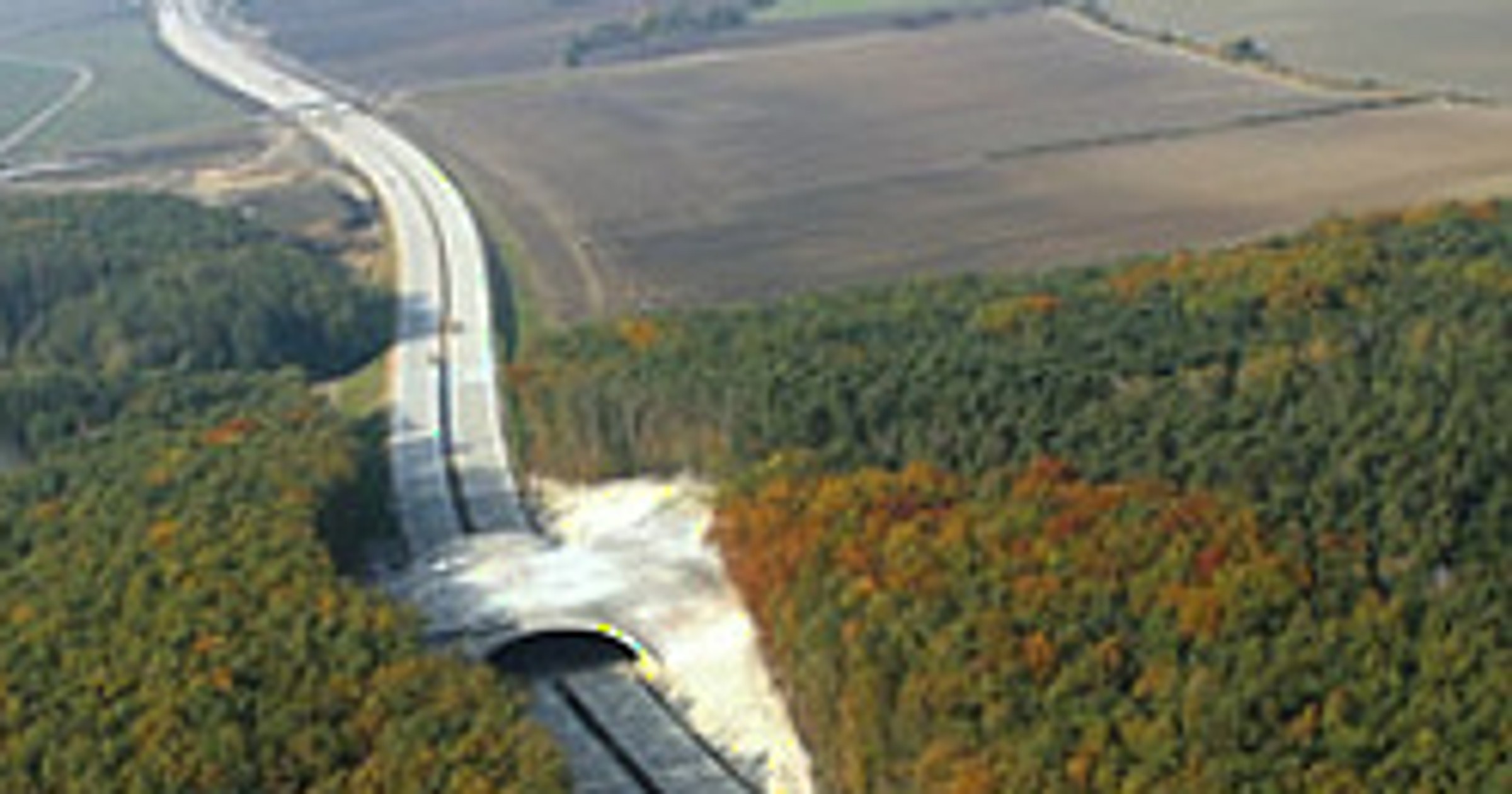Czesi oddali do eksploatacji 42 km autostrady D11