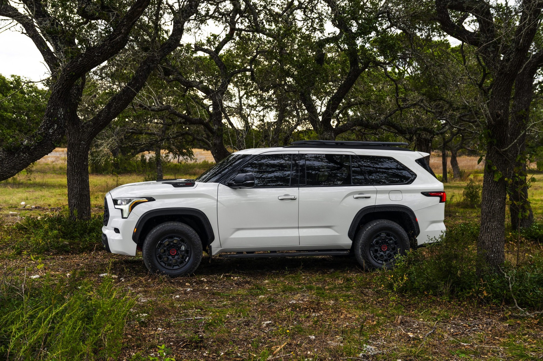 2022 Toyota Sequoia