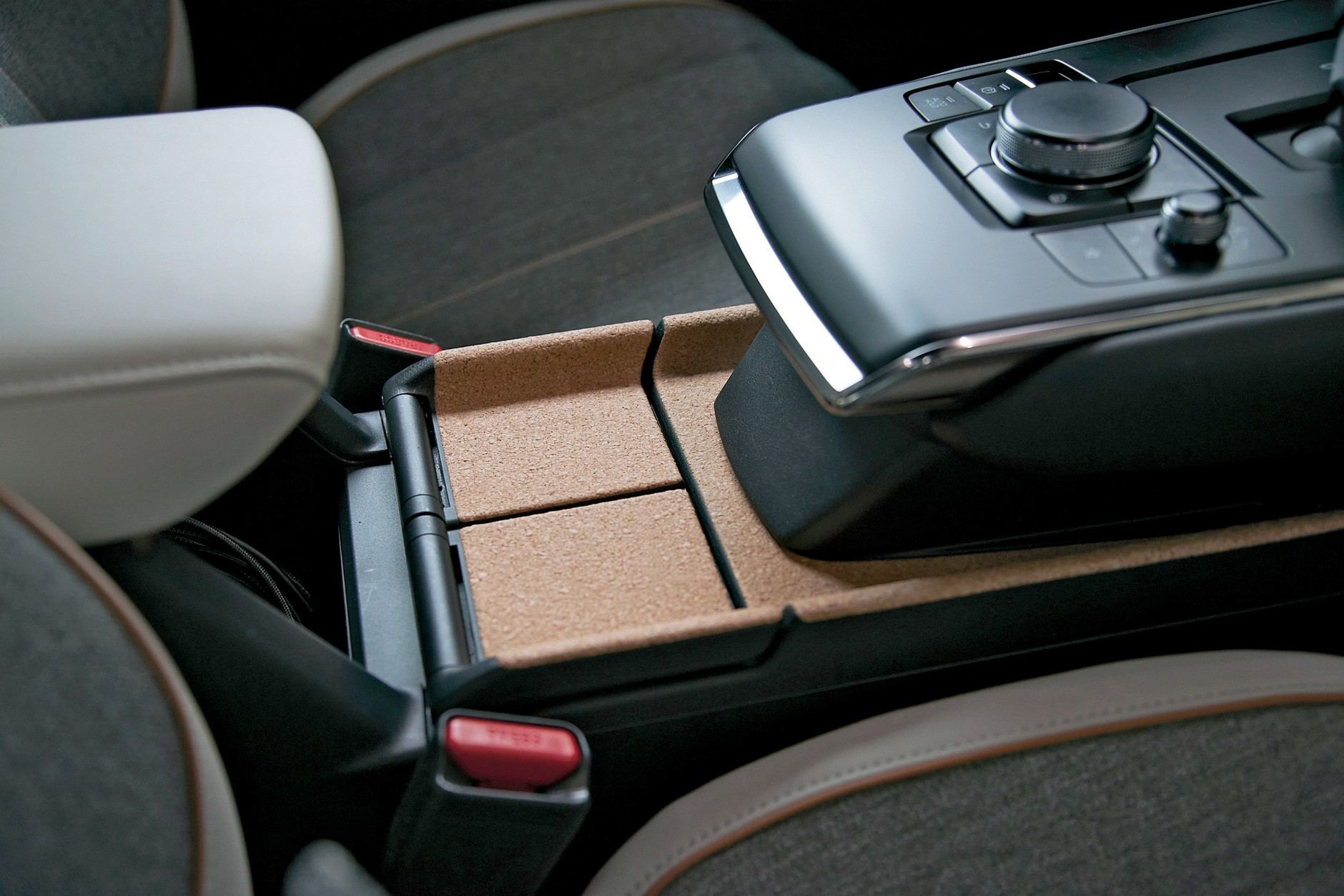 Wstawki korkowe w kokpicie, dominuje jednak tworzywo.