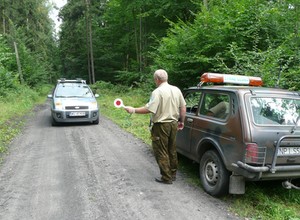 Kolejne kary dla kierowców. Za złamanie przepisów nawet konfiskata pojazdu
