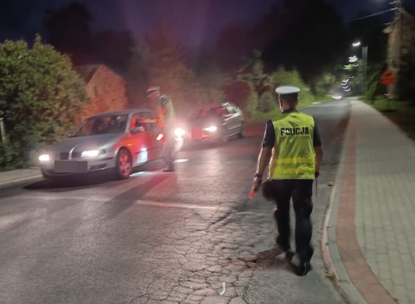 Policjanci przeprowadzili specjalną akcję. Sprawdzali jeden aspekt
