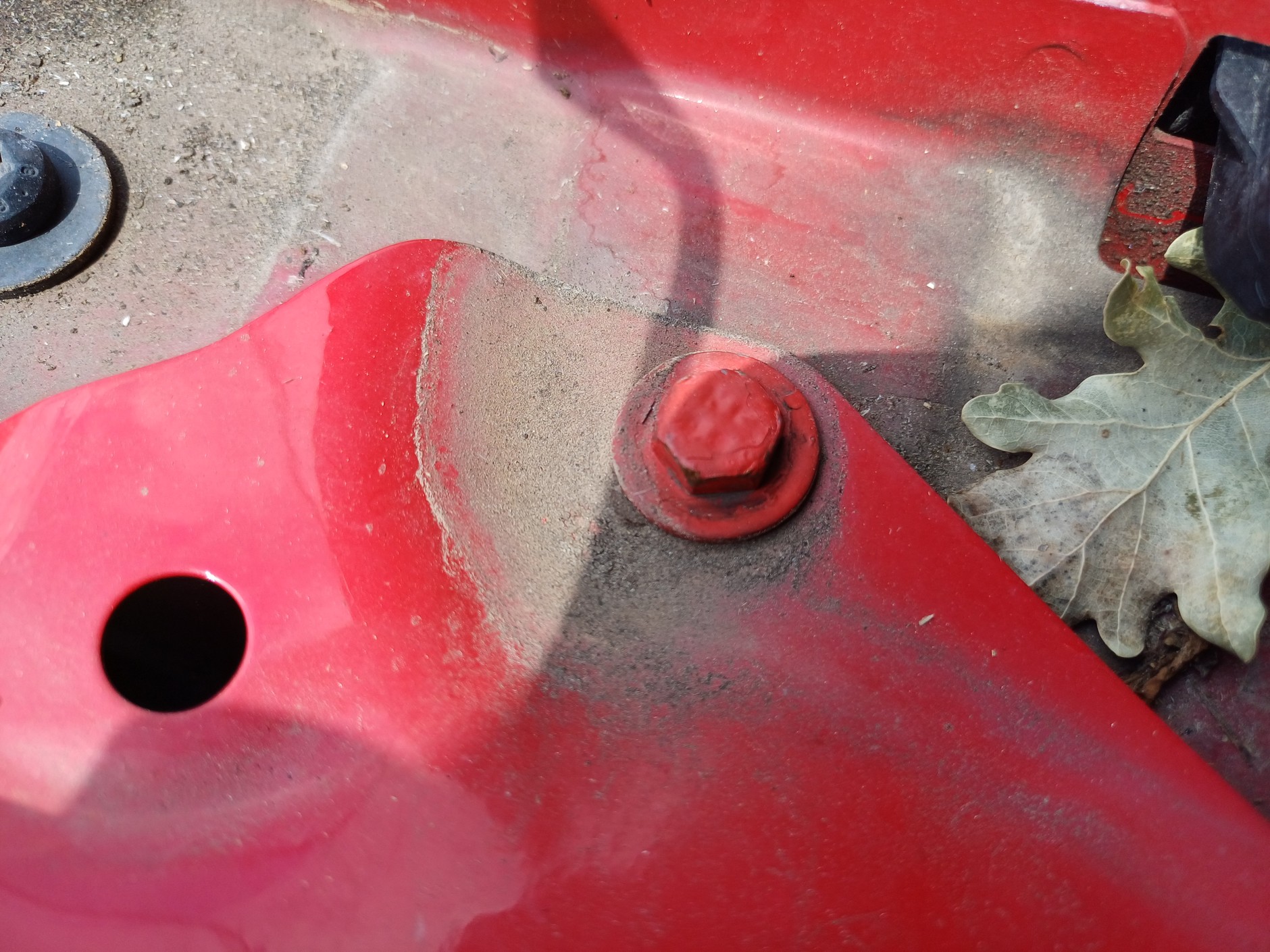 Skoda Octavia z ogłoszenia