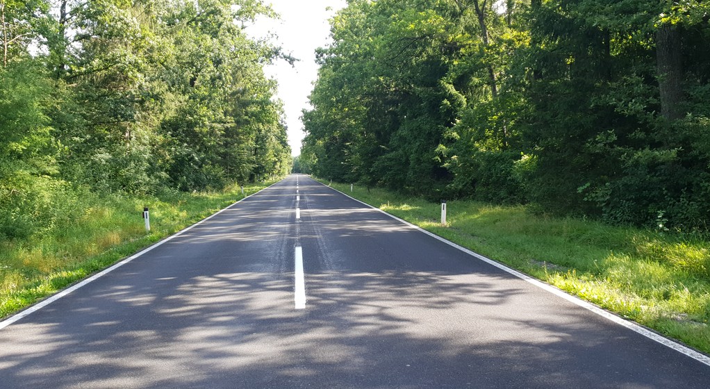 Efekt zebry podczas jazdy pojawia się, gdy jedziemy przez las w słoneczny dzień