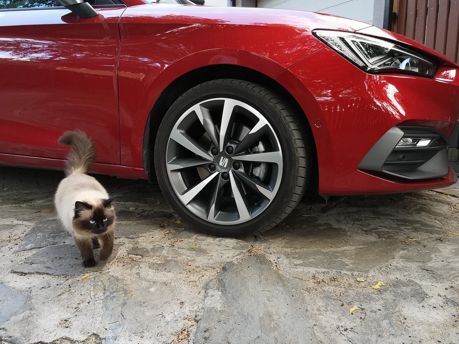 Seat Leon eTSI FR 2020