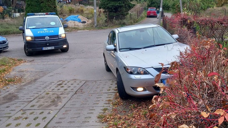 Źródło: pomorska.policja.gov.pl