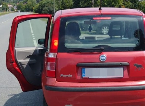 Policjanci atrzymali czerwonego Fiata. Kuriozalne tłumaczenie 71-latki