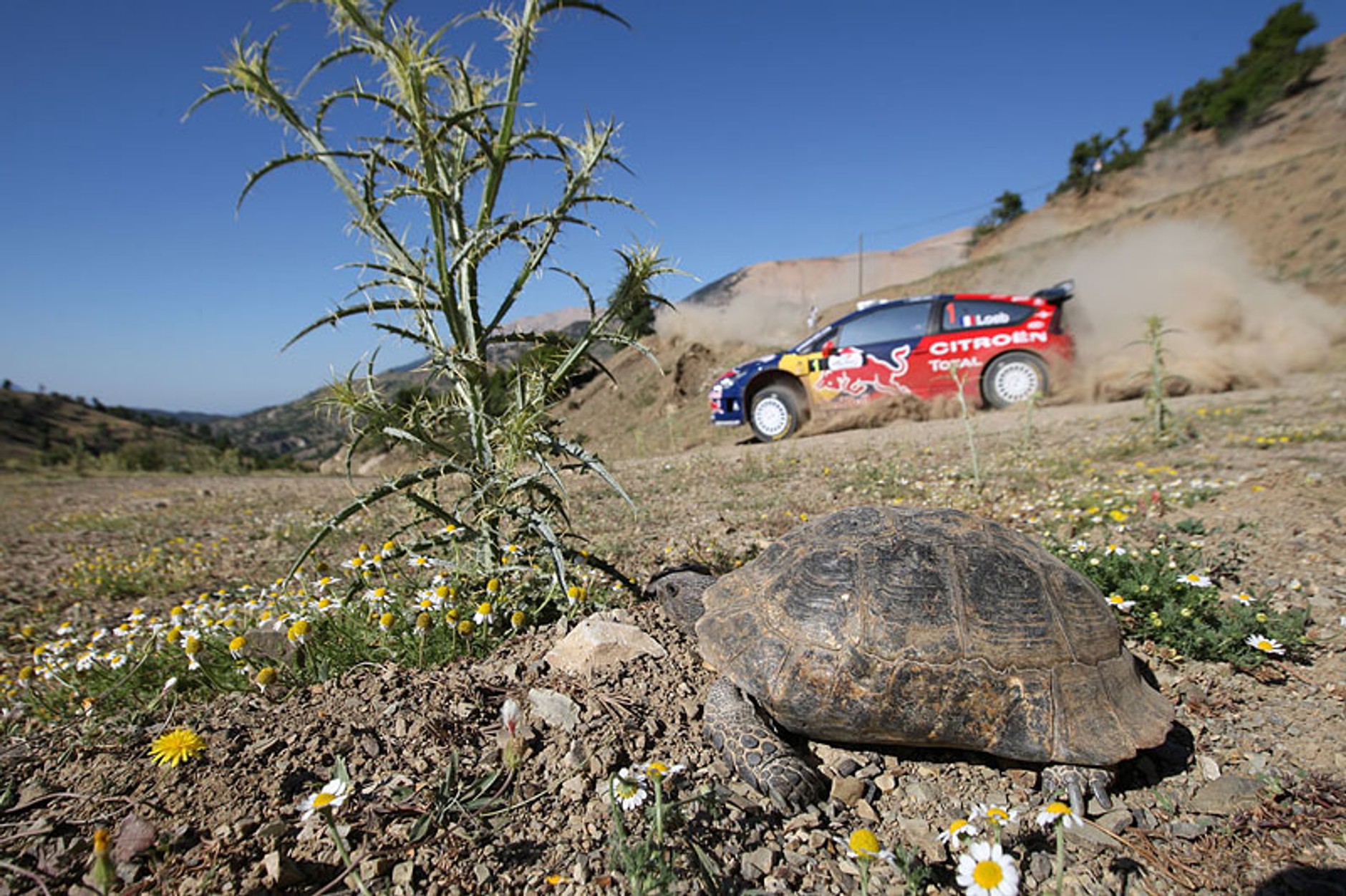 Rajd Turcji 2008 – fotogaleria Rallyworld©Willy Weyens