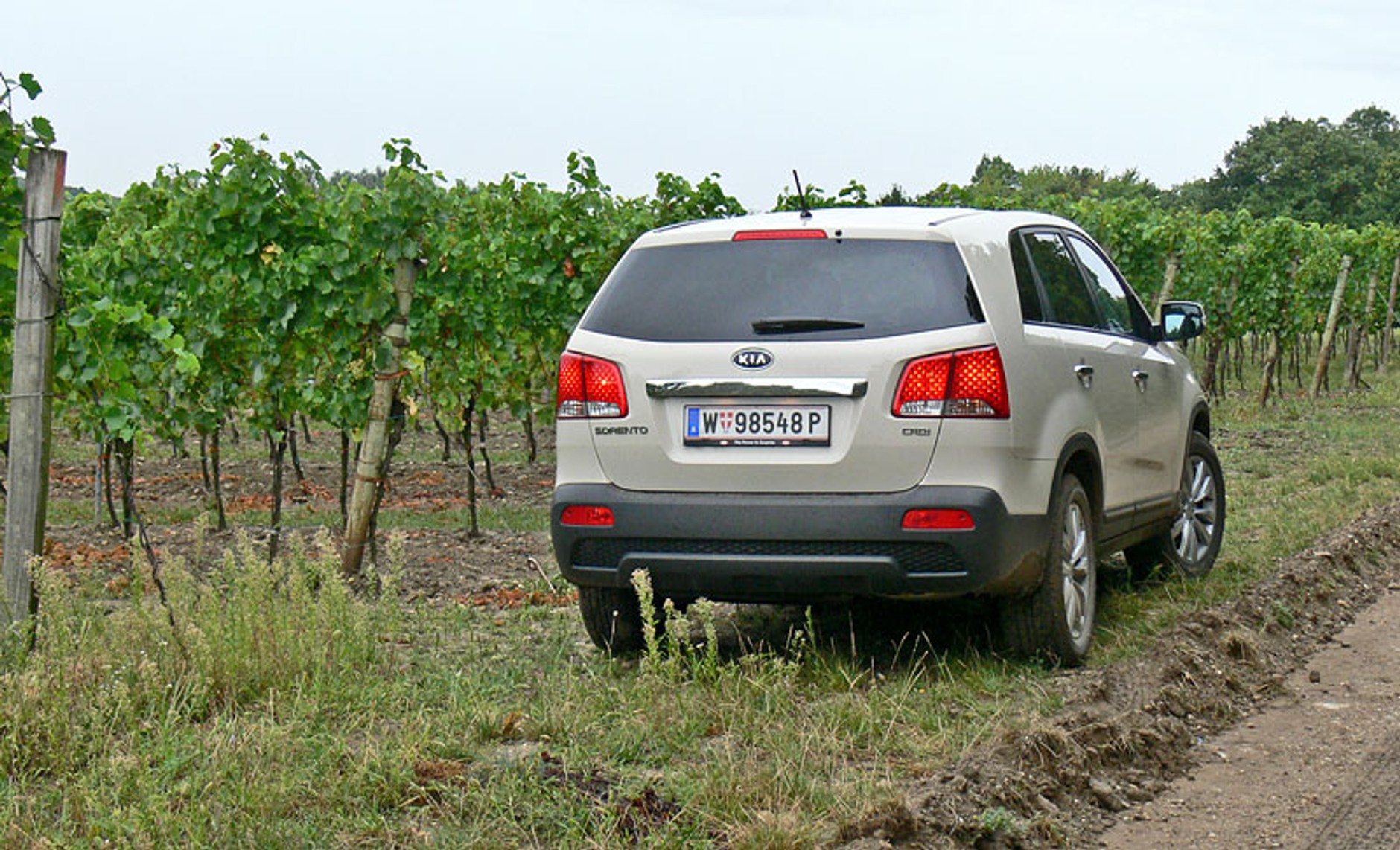 Kia Sorento: pierwsze wrażenia z jazdy