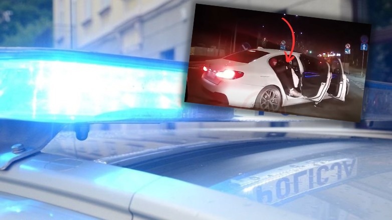 Takich przygód autor nagrania się nie spodziewał (Screen: YouTube/StopCham)