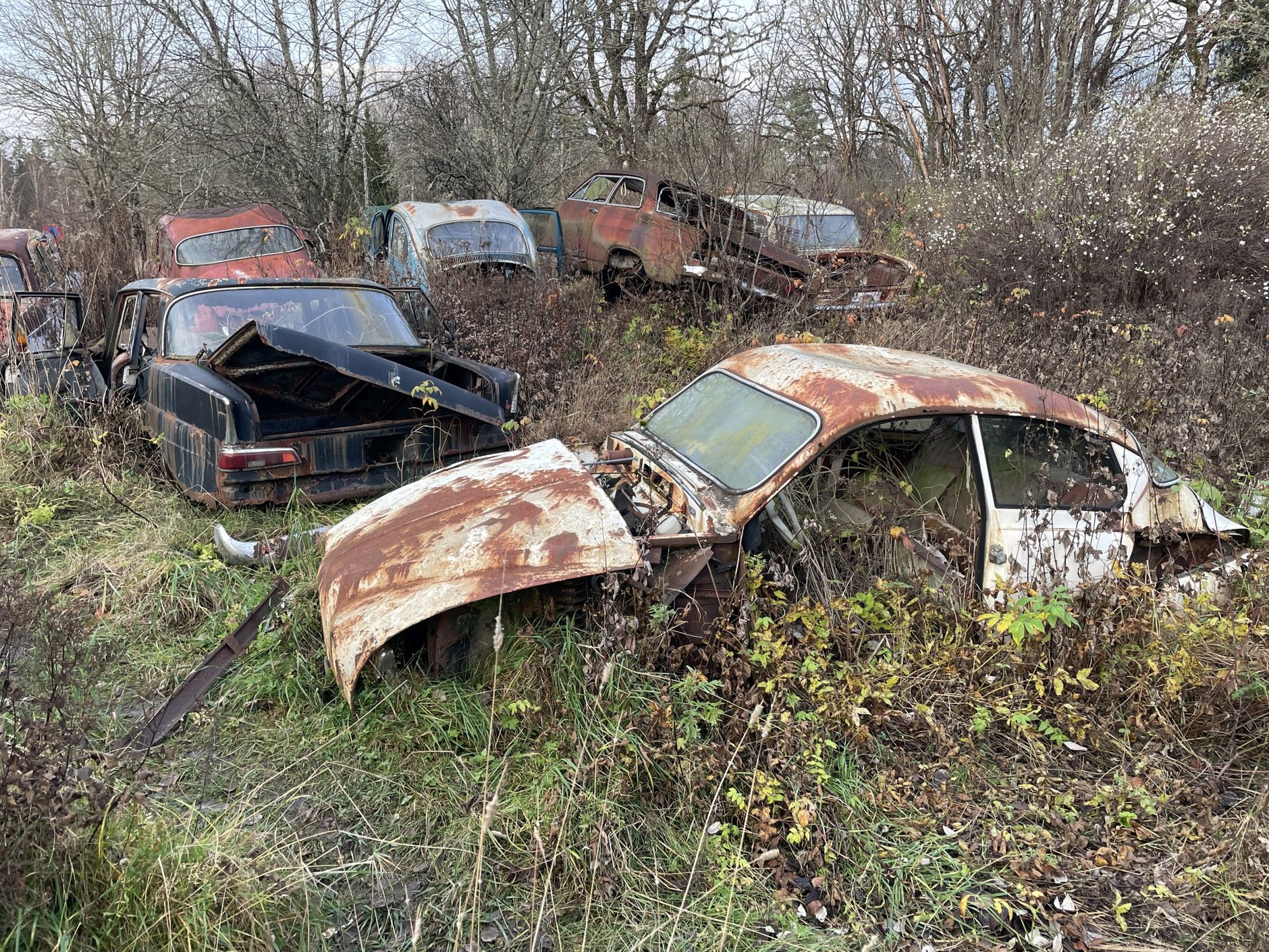 Cmentarzysko samochodów w Bastnas w Szwecji