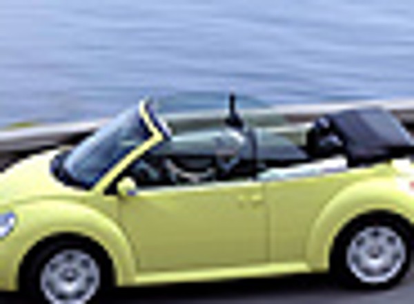 Chrabąszcz bez pancerza