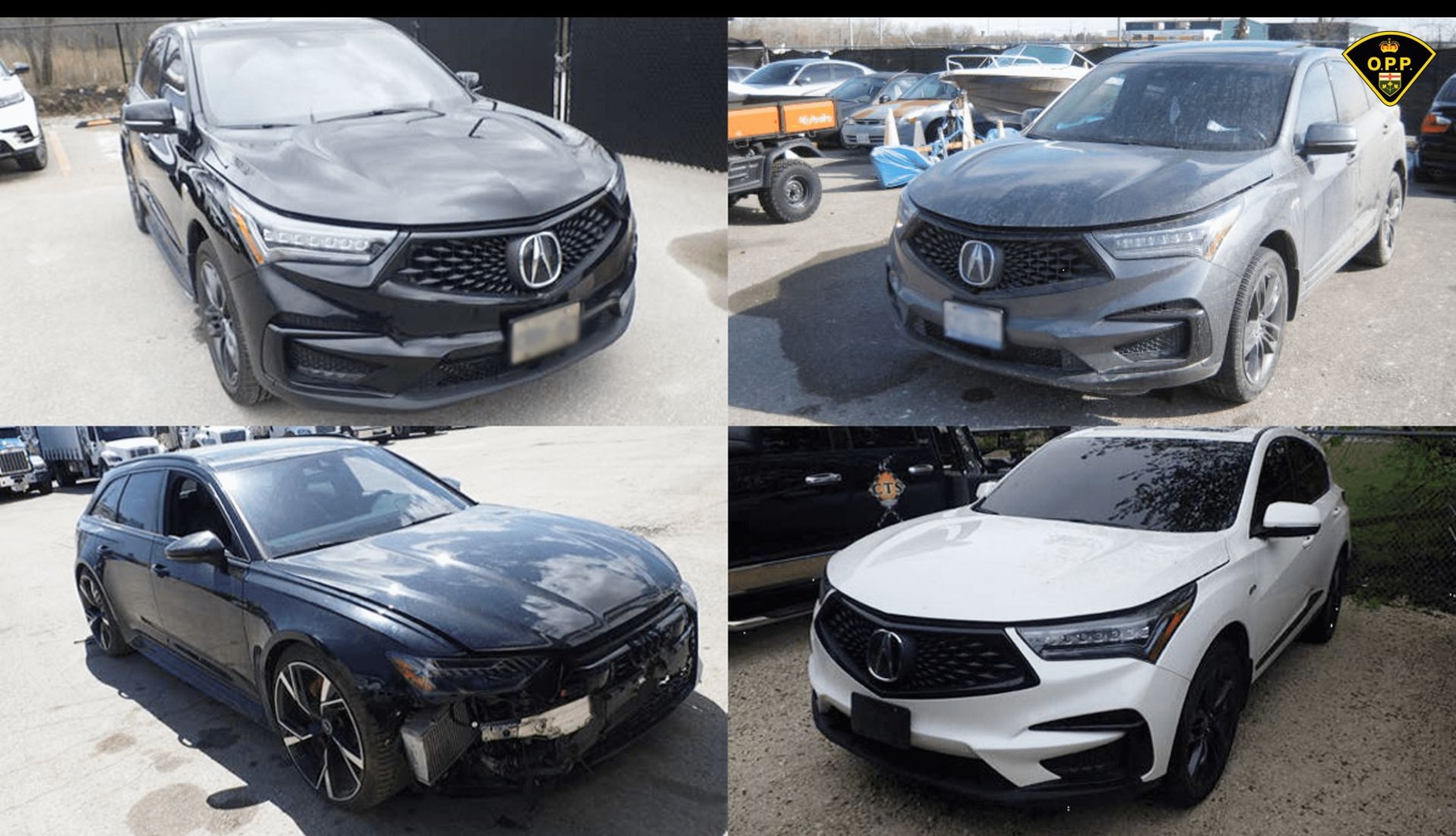 Znalezione samochody kradzione przez kanadyjskich złodziei