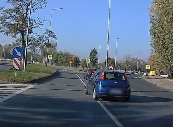 Zdecydował się na szalony manewr. Pieszy i pies uratowali się w ostatniej chwili