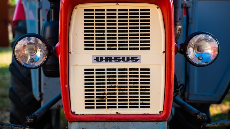 Ursus