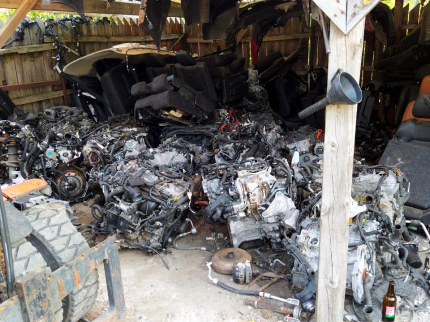 Dziupla odkryta w miejscowości Kiciny