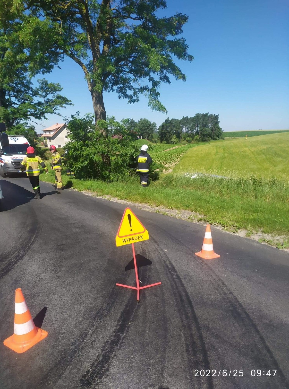 Kobieta, wioząc wnuczka uderzyła w drzewo