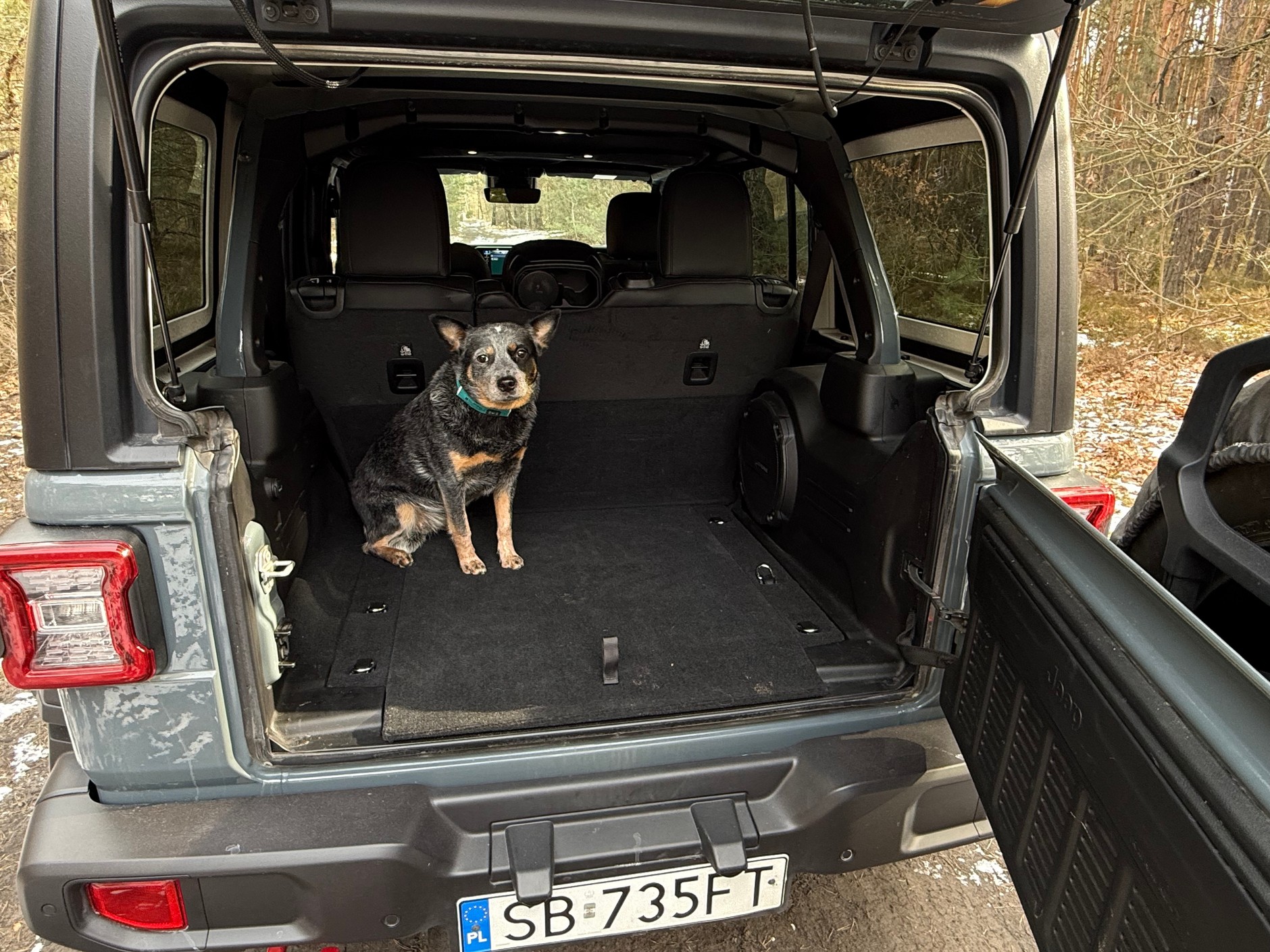 Jeep Wrangler vs Toyota Land Cruiser