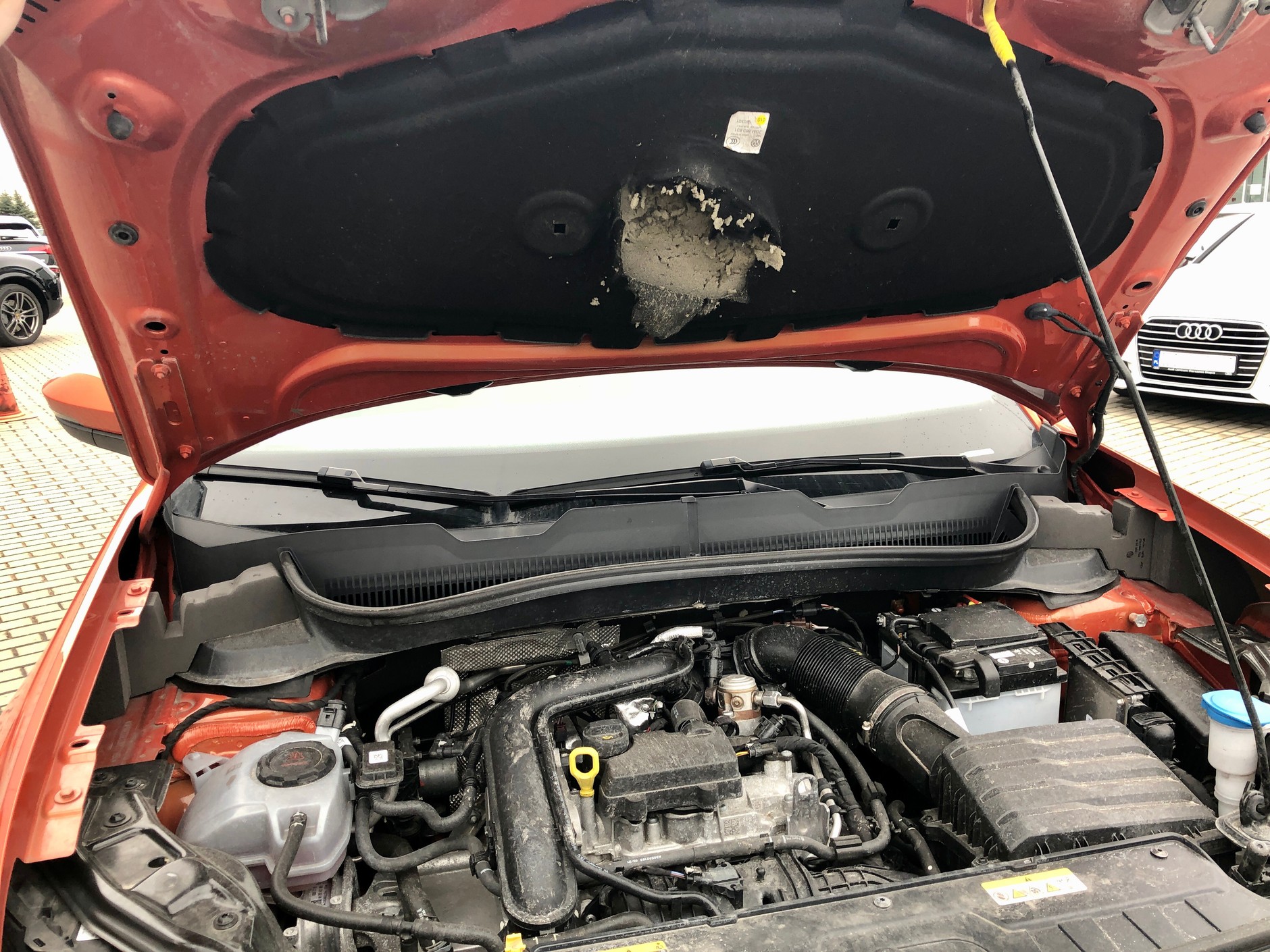 Wygłuszenie pod maską wygryzione przez kunę