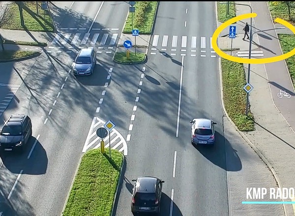 Tego nie lubią kierowcy. Policjanci znowu ich zaskoczyli [WIDEO]