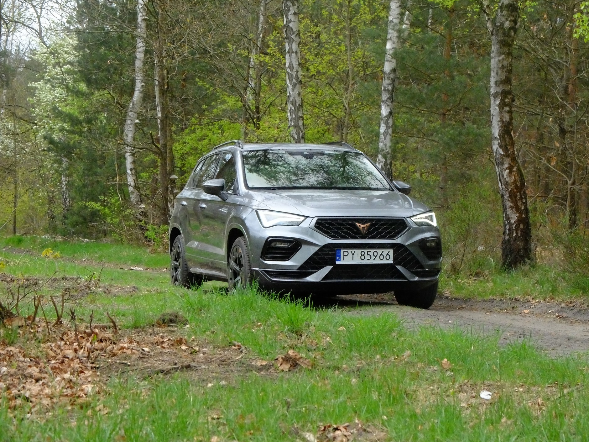 Cupra Ateca 2.0 TSI/190 KM 4x4