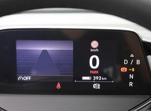 Pojechali elektrykiem z Polski do Cannes. Musieli stawać aż 19 razy
