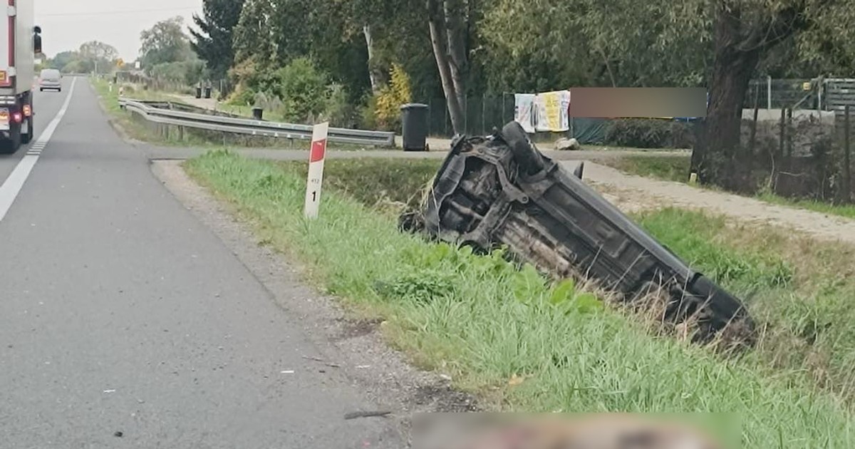  Na krajówce zderzył się z dzikiem. 23-latek trafił do szpitala